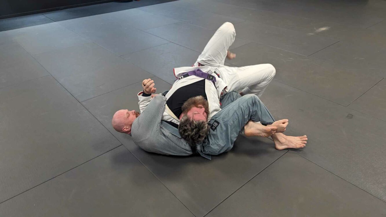 Cameron Davis Jiu-Jitsu Gallery Photo Number 4